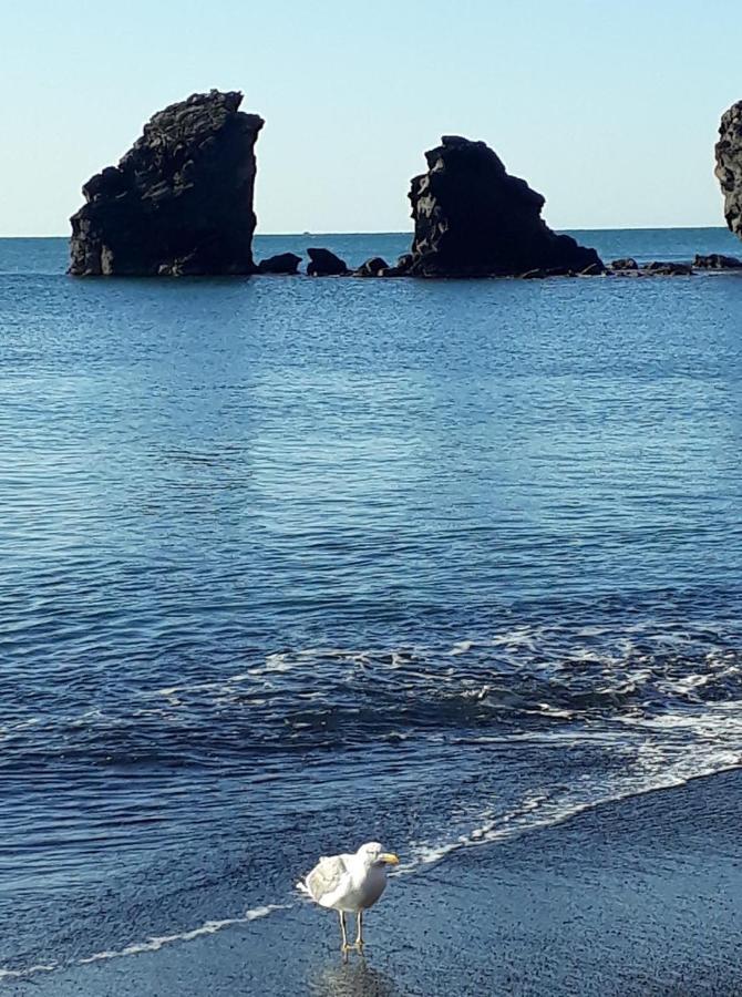 T2 Plage De La Conque アグド エクステリア 写真